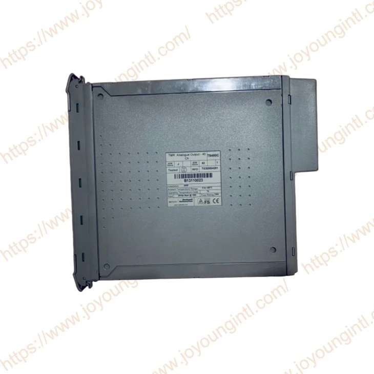 ICS TRIPLEX T8480C 24Vcc